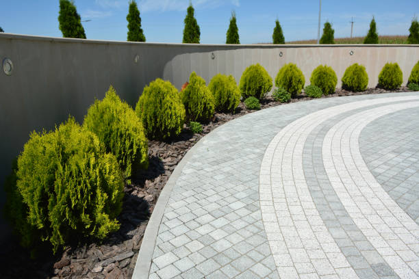 Best Decorative Driveway Pavers  in Ste Genevieve, MO