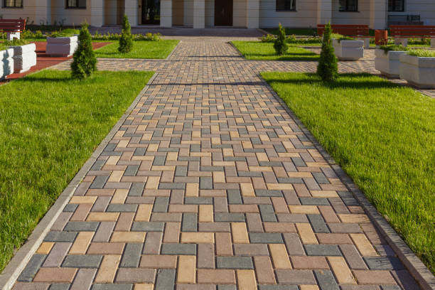 Best Driveway Paving Contractor  in Ste Genevieve, MO